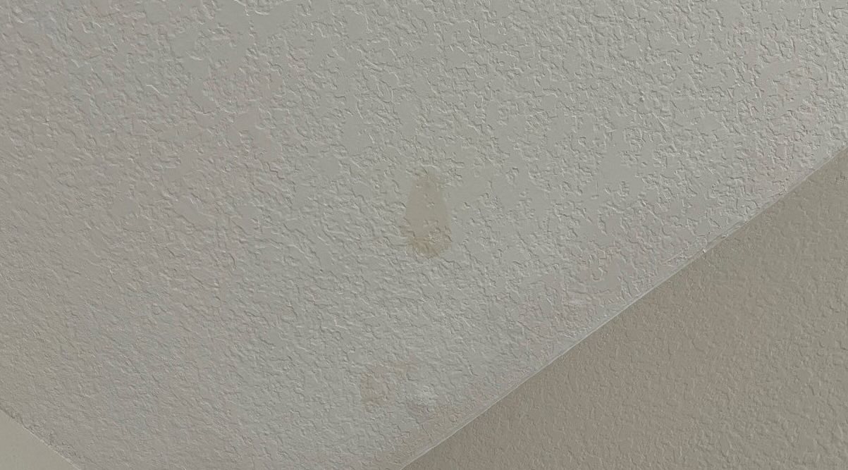 Ceiling Stain inspection detail placeholder