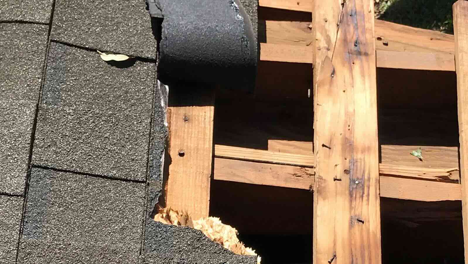 Missing Shingles visible condition placeholder