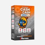 Cash to Cash Moov Standard : Paiement Moov Money WooCommerce