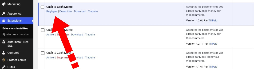 Activation du plugin