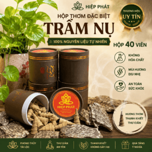 Trầm Nụ Thơm Thượng Hạng Hộp 40 Nụ Giá 350k