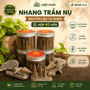 Nhang Trầm Nụ Mẫu Tháp Hộp 40 Viên Thơm Đặc Biệt.