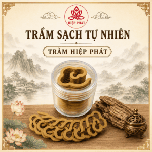 Nhang Trầm Vân Mây – Hộp 16 Vòng – Thơm Ngọt Dịu Nhẹ