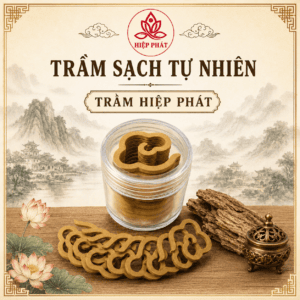 Nhang Trầm Vân Mây – Hộp 16 Vòng – Thơm Ngọt Dịu Nhẹ