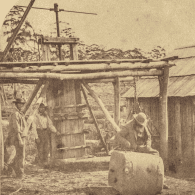 Old photograph of man rolling a wool bale away from the press at Twamley Tasmania