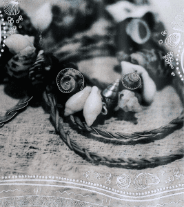 Shell necklace.