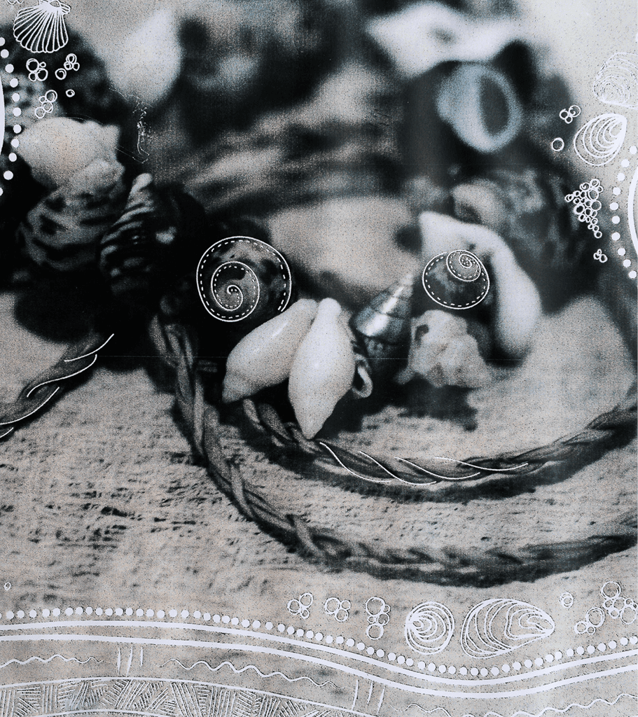 Hand crafted traditional indigenous shell necklace alongside a length of string handmade with long blades of grass.