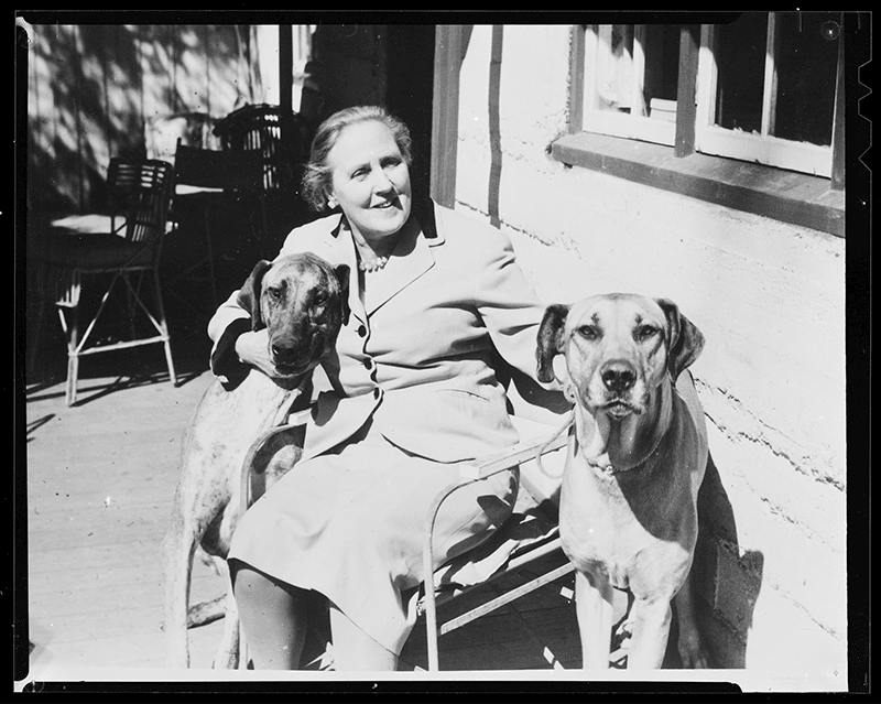 Nan Chauncy sitting outside a house in the sun in a suit dress next to two dogs.