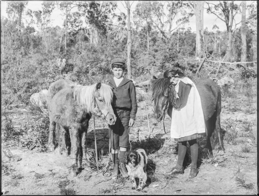 Two children standing with a dog and two ponies in an open area with bushland in the background