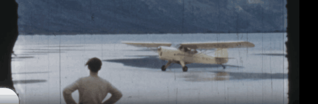 Image of a propeller plane landing on a beach