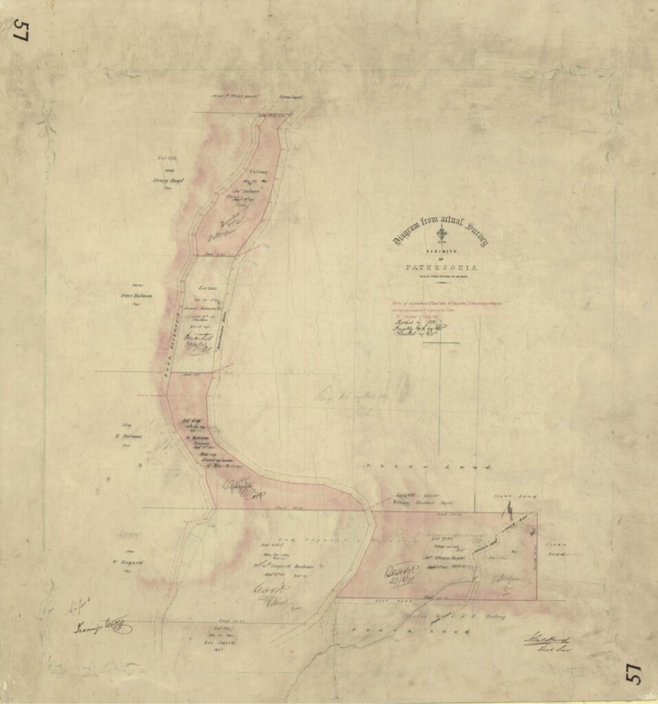A map of the parish of Patersonia. A diagram from actual survey in vicinity of Patersonia includes Ringarooma Road and various landholders