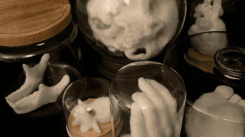 Photograph of hand-felted sculptures in glass display domes.