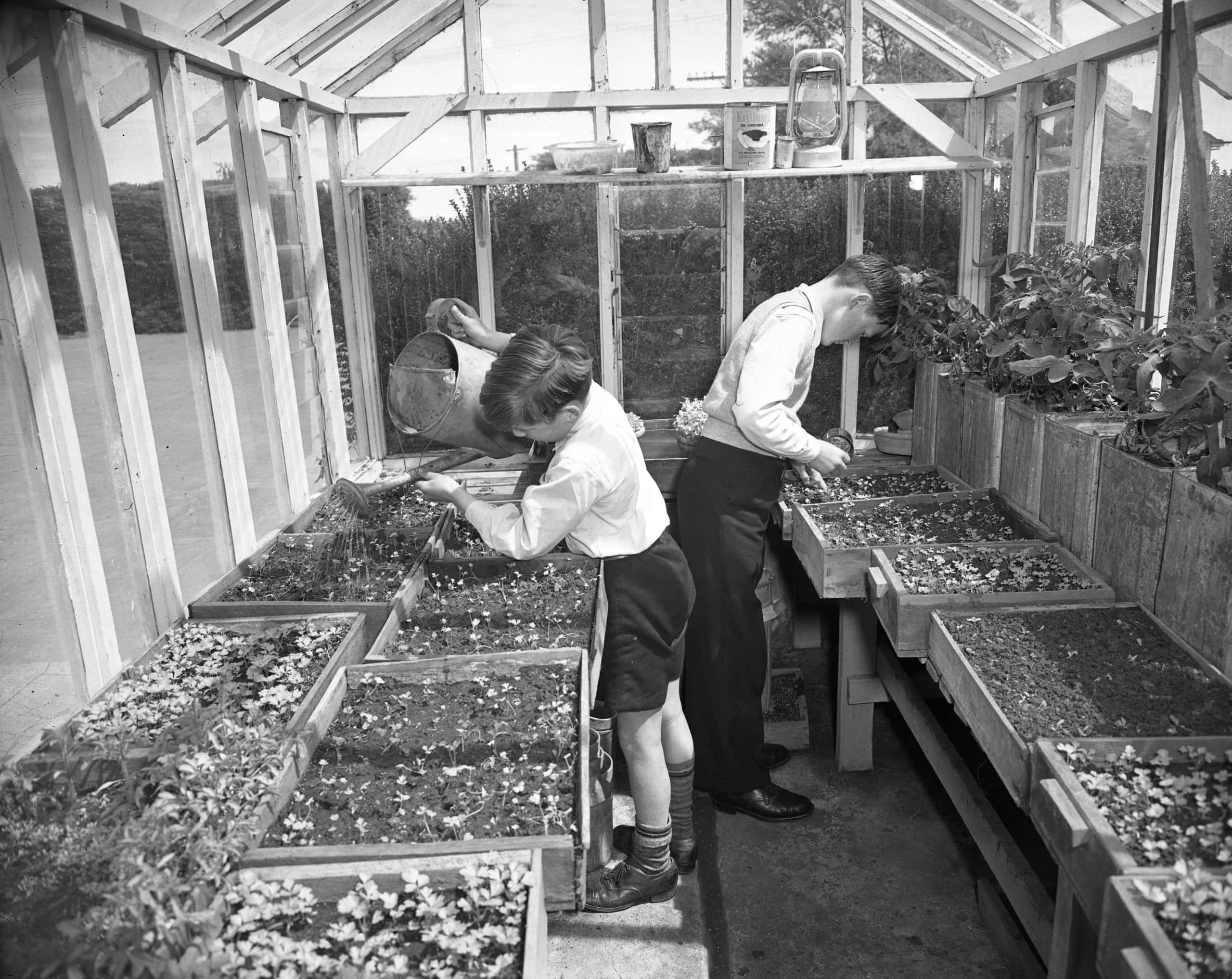 2 school kids working in a greenhouse.
