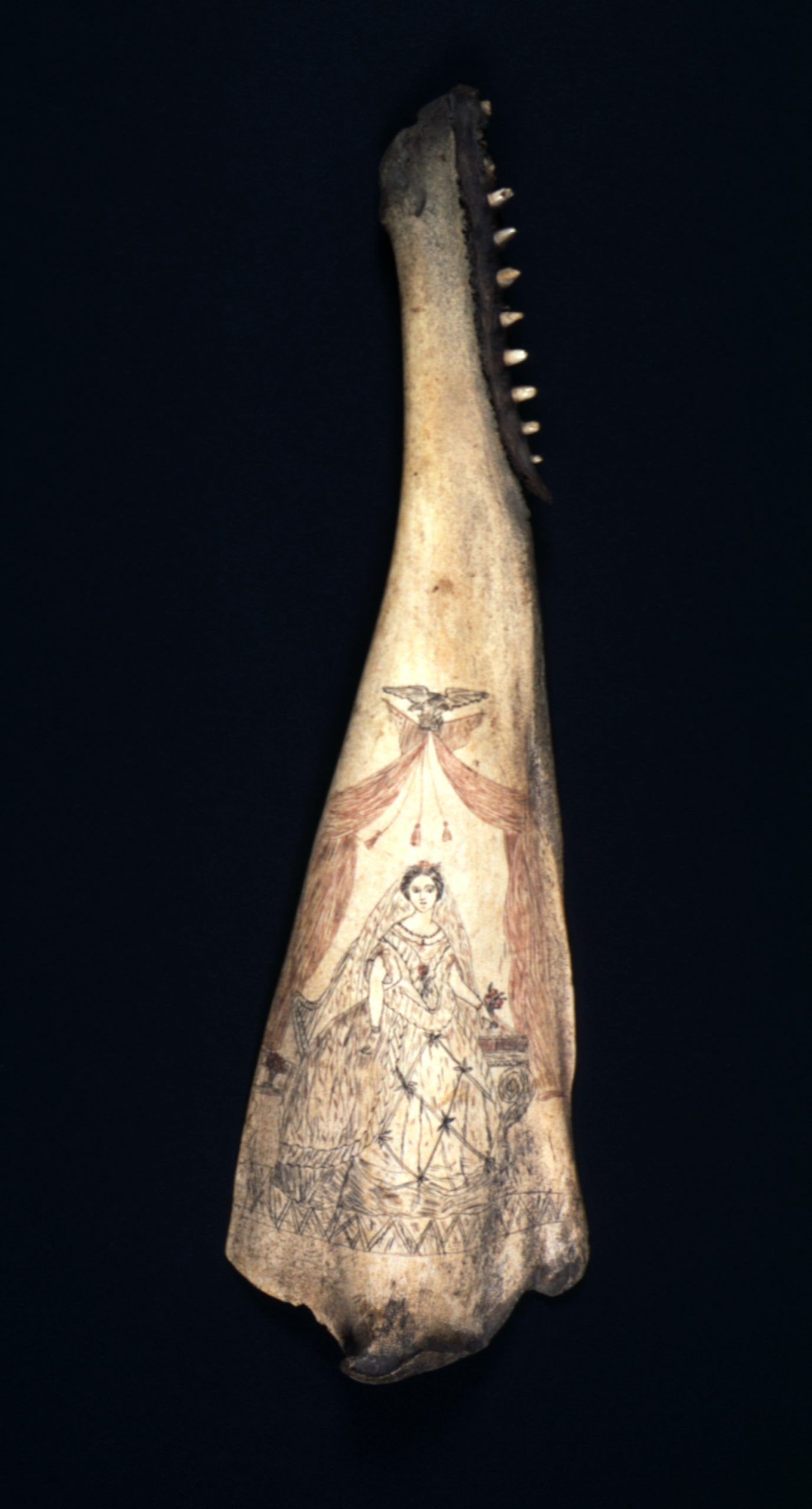A painted half jaw bone of a whale. Shows an elegantly dressed woman with flowing veil standing near a harp with a cloth canopy above her surmounted by an eagle.