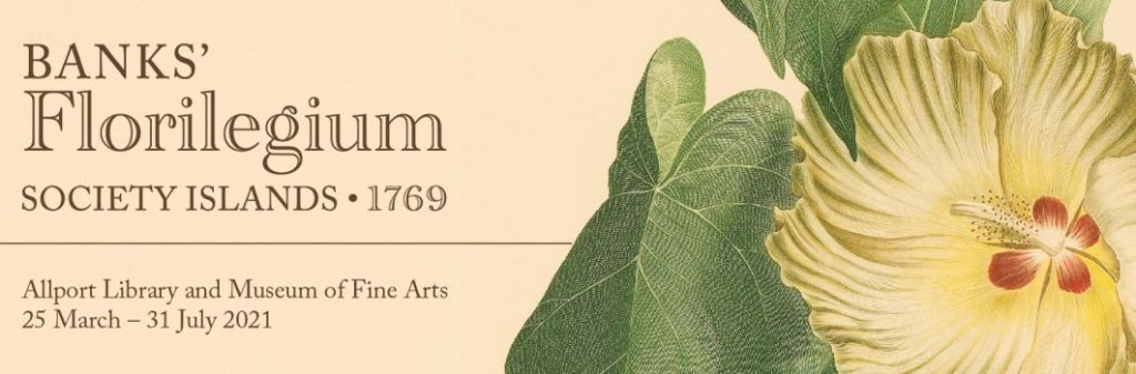 A photo of a flower and leaves. Text of the right reads: "Banks' Florilegium. society islands. 1769.
Allport Library and Museum of fine arts.
25 March - 31 July 2021
