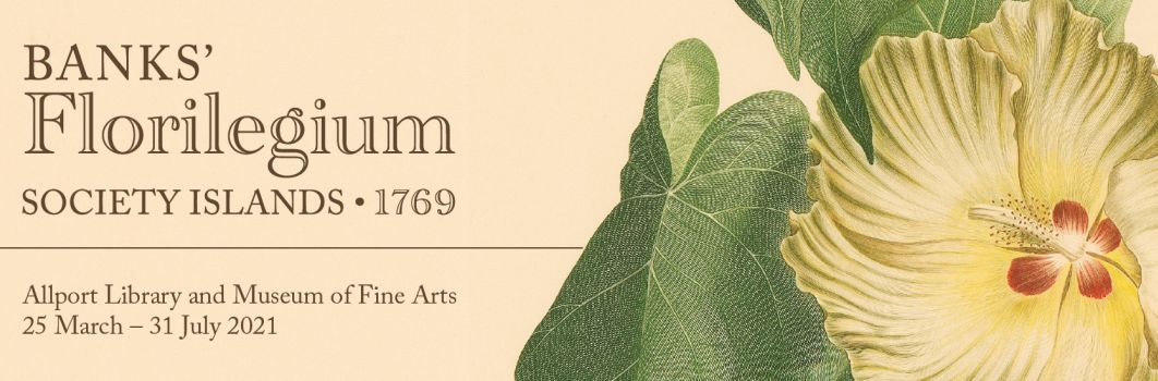 A photo of a flower and leaves. Text of the right reads: "Banks' Florilegium. society islands. 1769. Allport Library and Museum of fine arts. 25 March - 31 July 2021
