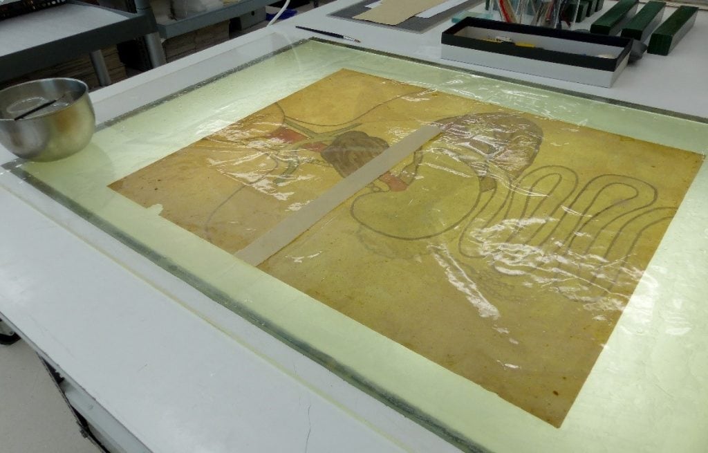The drawing in a light box