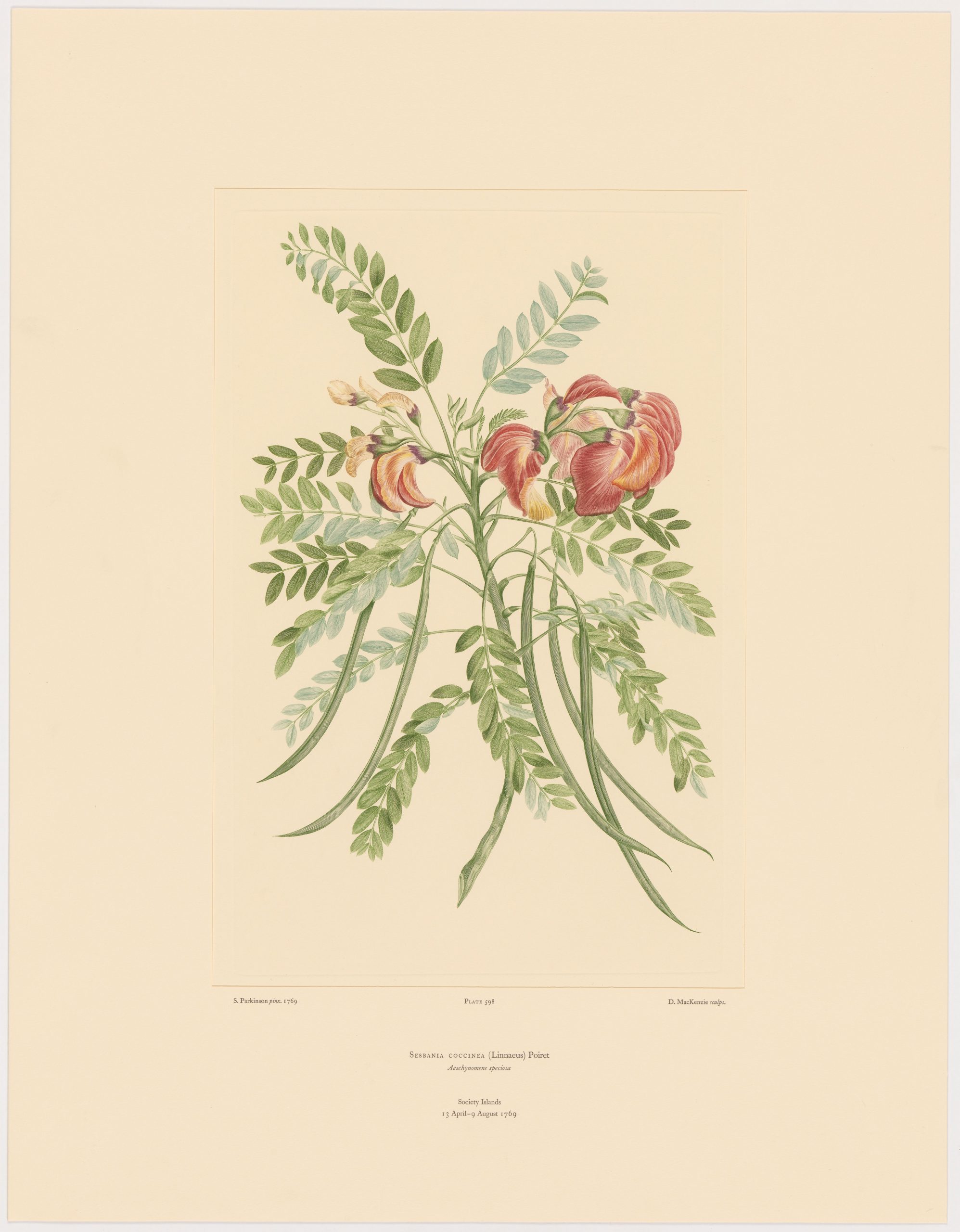 A painting of a plant with a flower on it.