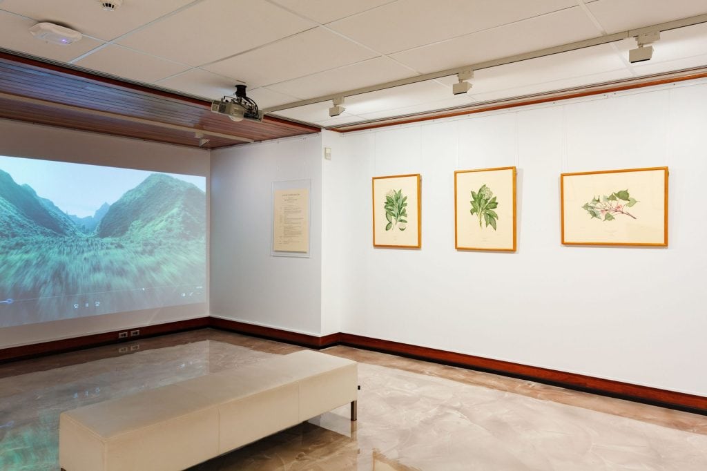 a room with 3 pictures of leaves on the wall.