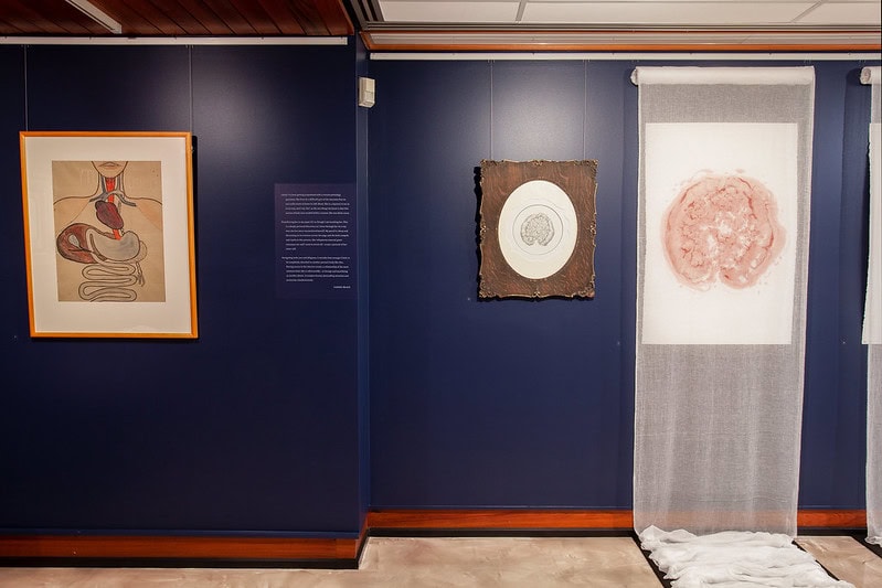 A wall with 3 items being exhibited 