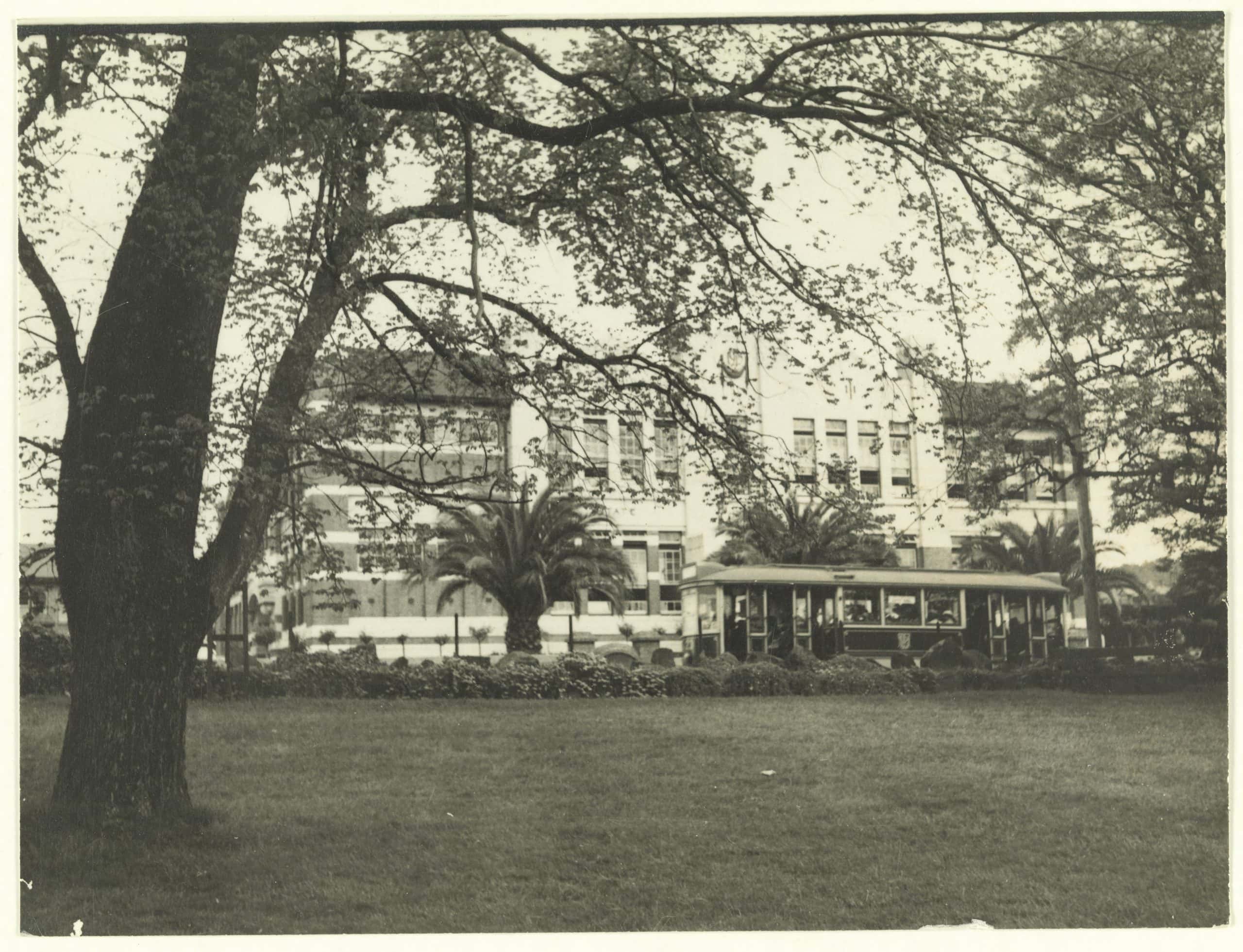 An old photo of a large tree with a two-story school behind it.