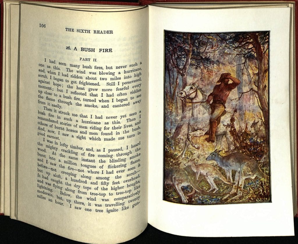 Pages of an open book, the right page is a picture of a man on a horse in the woods with wallabies in the foreground. Text on the left reads: “26. A bush fire. Part 2. I had seen many bush fires, but never such a one as this. The wind was blowing a hurricane and when I had ridden about two miles into high scrub, I began to get frightened. Still i persevered against hope; the last grew more fearful every moment but I reflected that I had often ridden up close to a bush fire, turned when I began to see the flame through the smoke and cantered away from it easily. Then it struck me that I had never yet seen a bushfire in such a hurricane as this. Then I remembered stories of men riding for their lives, and others of burnt horses and men found in the bush. And, now, I saw a sight which made me turn in good earnest. I was in loft timber, and, as I paused, I head the mighty crackling of fire coming through the wood. At the same instant the blinding smoke burst into a million tongues of flickering flame, and I saw the fire-not where I had ever seen it but up aloft, a hundred and fifty feet overhead. It had caught the dry tops of the higher boughs, and was flying along from tree-top to tree-top like lightning. Below, the wind was comparatively moderate, but, up there, it was travelling twenty miles per house. I saw one tree ignite like gun.”