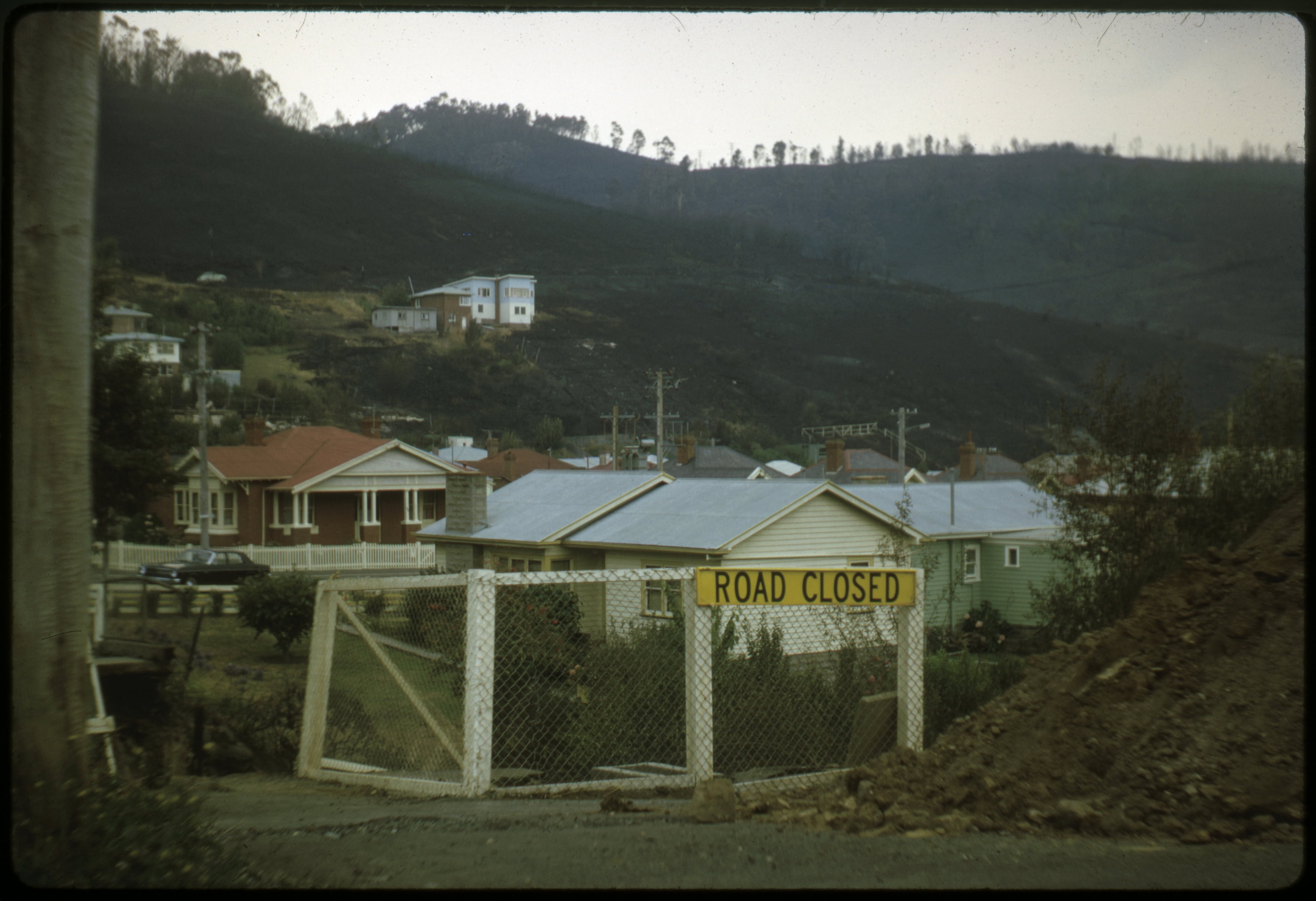 A photo of a "road closed" sign on a fence. houses in the background and burnt trees on hills in the distance.