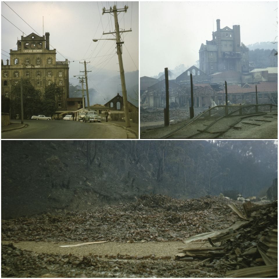 3 images. Left image: a picture of the Cascades brewery seen from the street. Smoke can be seen in the background. Right image: A view of behind the brewery. Fire damaged buildings in the foreground. Bottom image:burnt trees on a hillside.