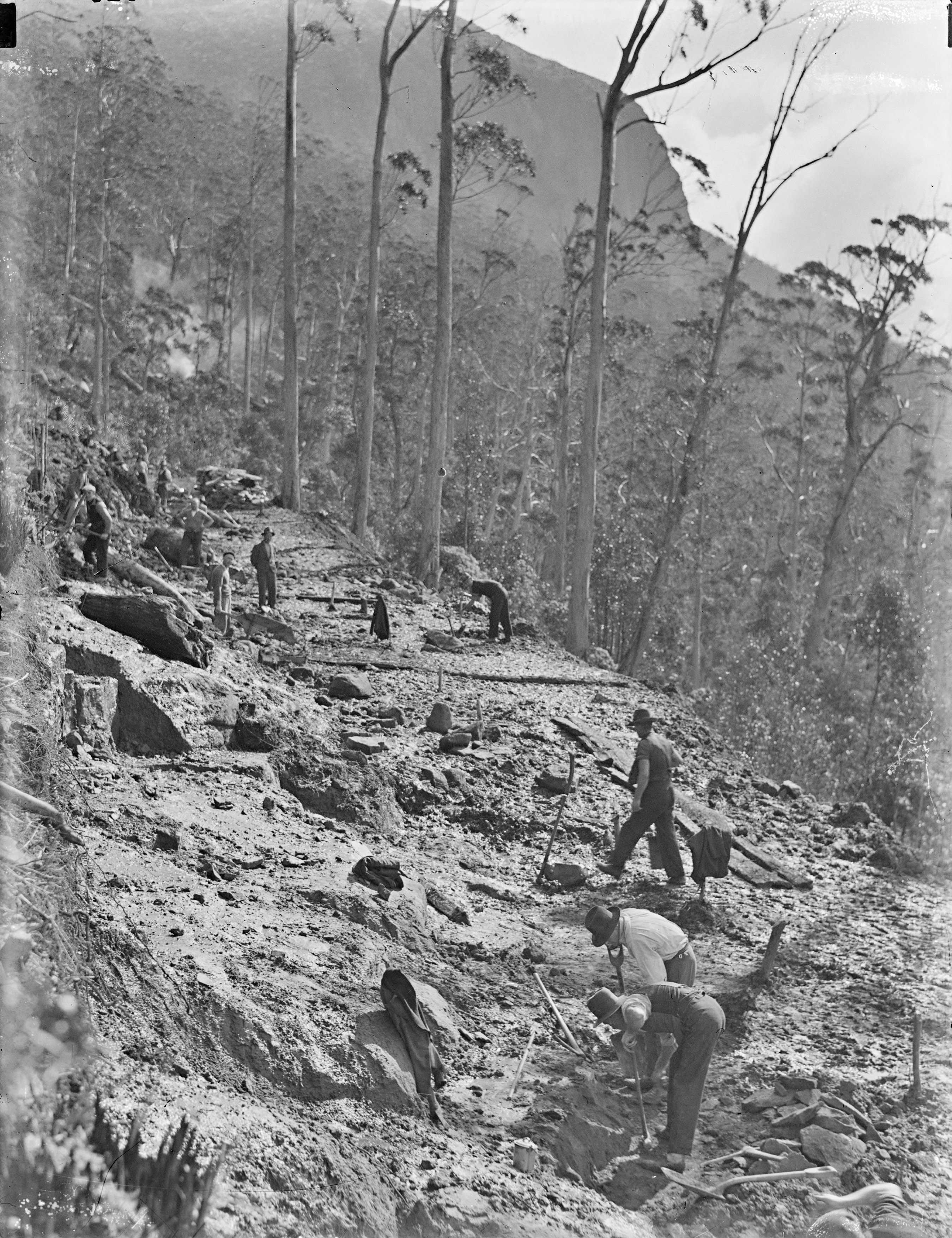 An old black and white photo of the Pinnacle road, mount wellington under construction. Several men working on clearing a path to make way for the new road.