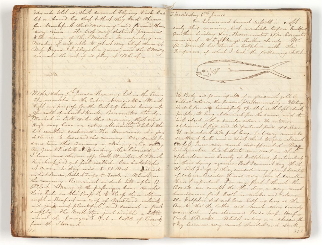 paper journal with text and drawings