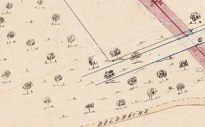 A close up of a map. there is a river and many hand drawn trees.. Text at the bottom reads" Deloraine"
