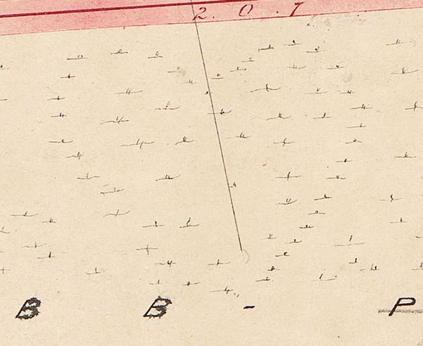 A close of a map. small tufts of grass drawn in the shape of a heart.