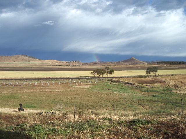 A view of a field on a grey cloudy day. Hills are in the distance.
