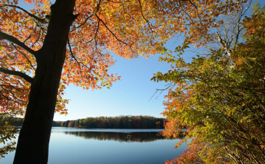 Fall colors at Promised Land State Park, Pennsylvania, USA