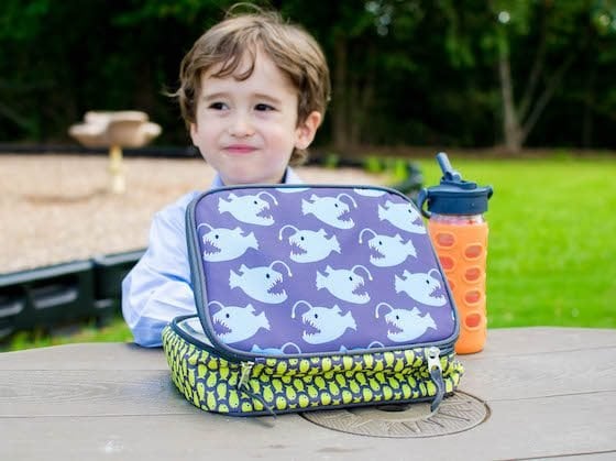 Back To School: Lunchbox Gear 25 Daily Mom, Magazine For Families
