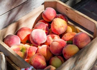 peach