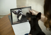 2 Winners Will Win A Print Custom Calendar: Motif Giveaway!