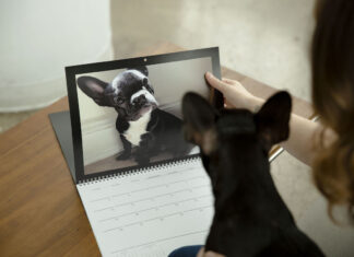 2 Winners Will Win A Print Custom Calendar: Motif Giveaway!