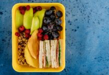daily mom parent portal lunch ideas for school