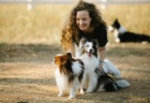 popular pet supplies feature