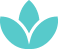 bullet image