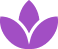 bullet image