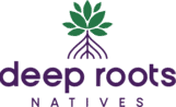 Frequently Asked Questions | Deep Roots Natives