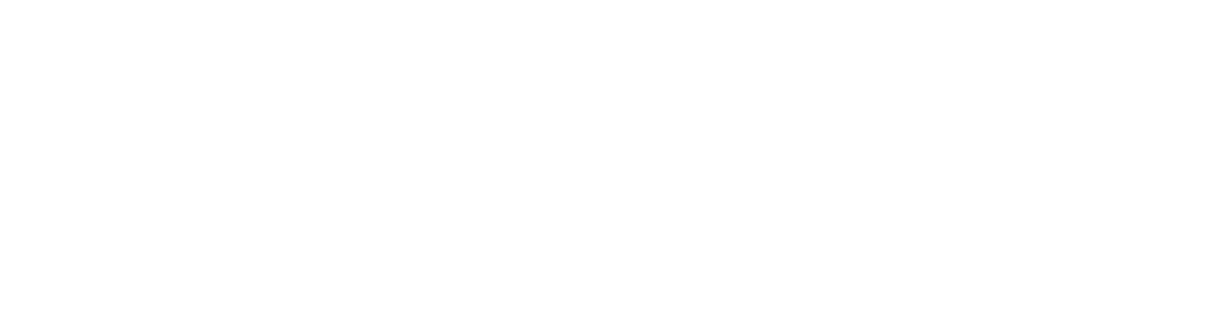 Logo White