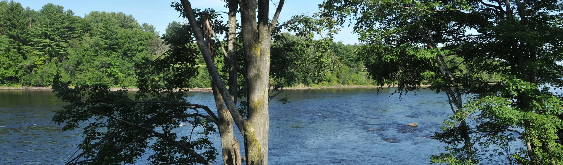 All informations on Camping Lac-Saint-Michel in Mauricie All informations on Camping Lac-Saint-Michel in Mauricie