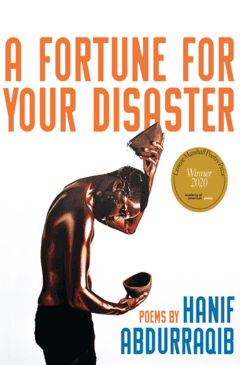 A Fortune For Your Disaster