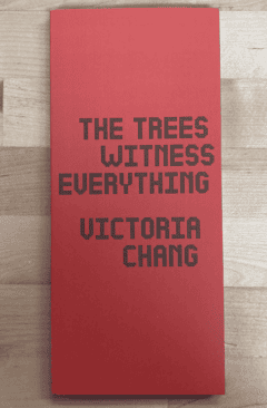 The Trees Witness Everything