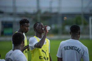 CHAN 2025 : Séance complète des Lions locaux avant le Soudan (Images) - wiwsport