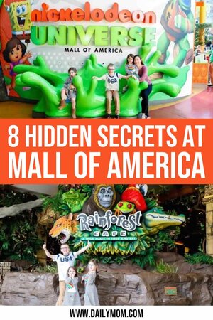 8 Moa Activities For The Whole Family