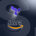 Terraform y AWS